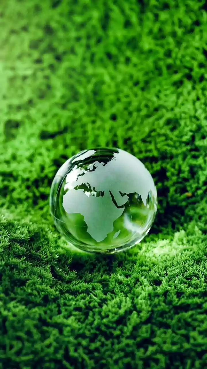 Chances de novo El Niño em 2026 passam de 90%, dizem cientistas