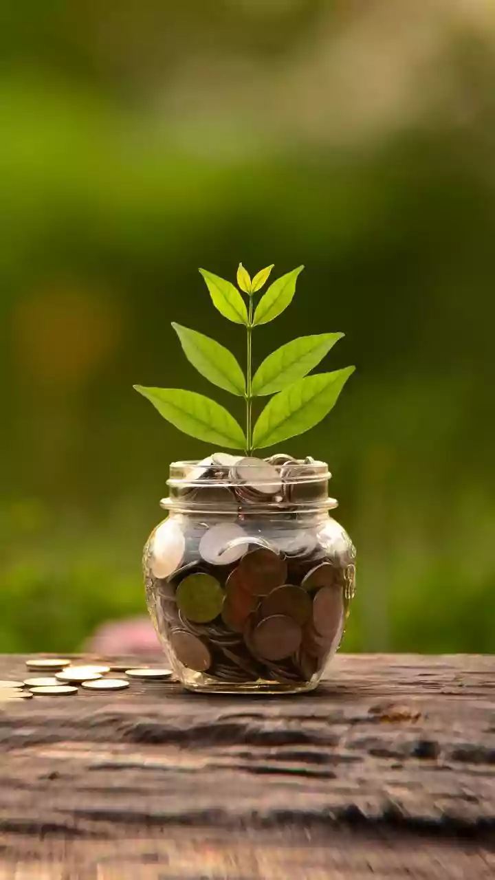 Smart Investment: Navigating the Indian Market with Key Insights