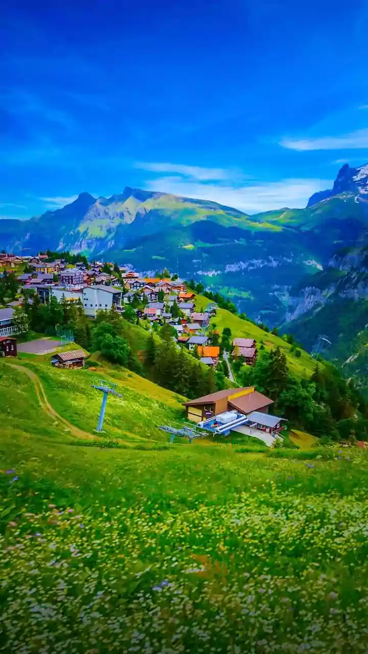 Hiking In Austria Offers These Alpine Flower Meadows You Will Love