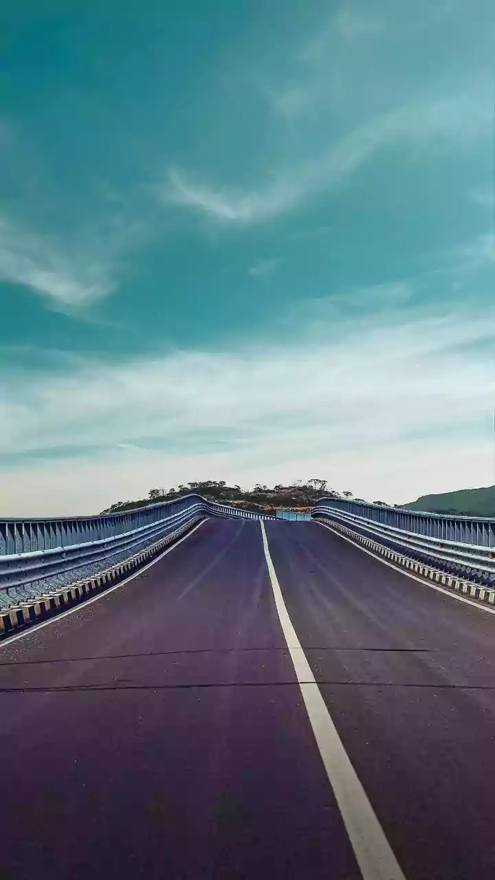 Bhopal News:  National Green Tribunal  Halts Tree Felling For Ayodhya Bypass 10-Lane Project Till Jan 8