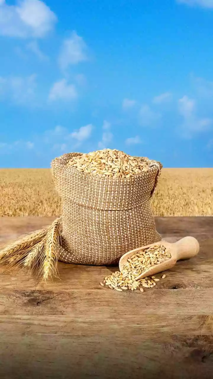 The Wheat Paradox: Why Cheaper Grain Doesn't Mean Cheaper Atta and Bread for Indians