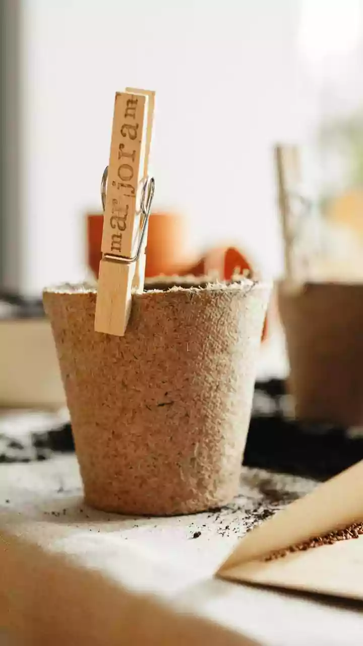 Sustainable gifting: What it is exactly