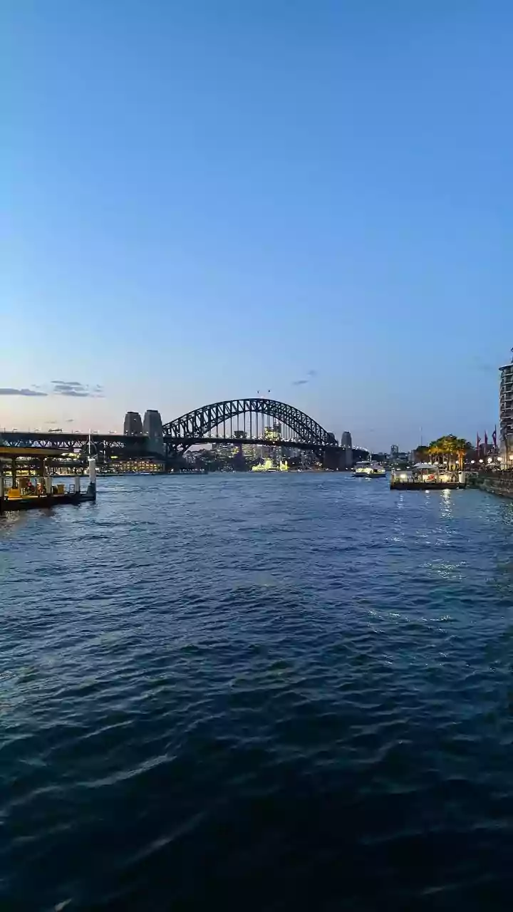 Tragedy in Sydney: Boy Killed in Shark Attack