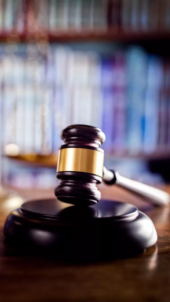 SC directs Delhi HC to decide in 4 months plea of MLA Raja Bhaiya's wife alleging domestic violence