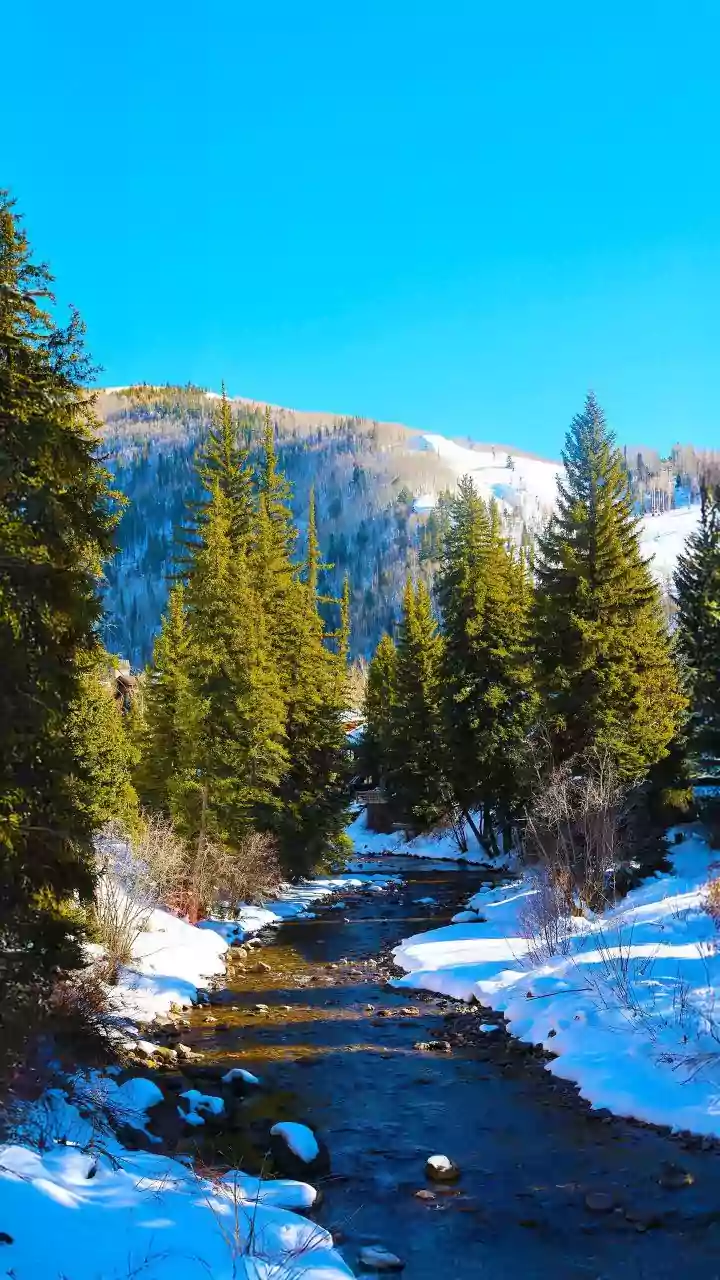 Sundance Resort: More Than a Ski Hill, A Legacy of Art and Nature