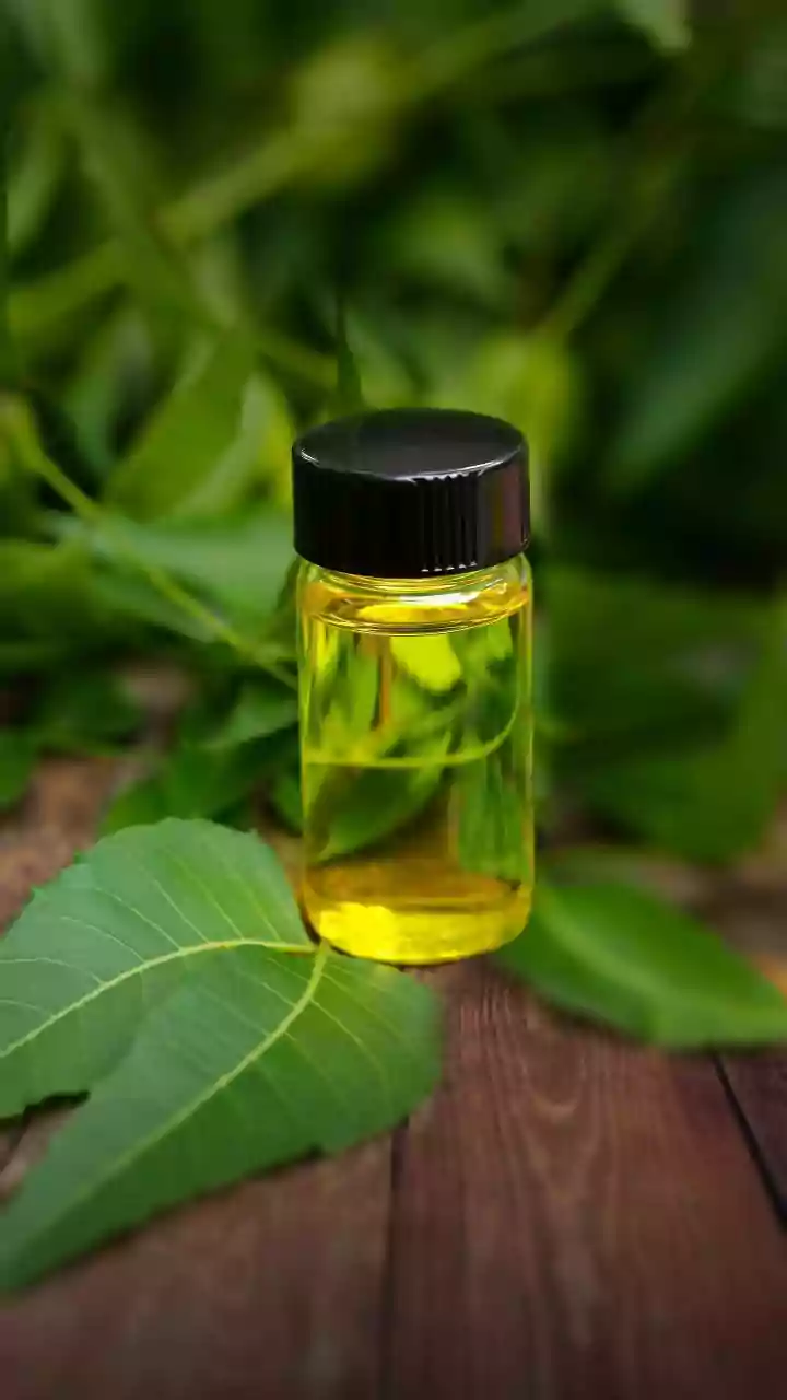 Papaya Leaf Extract and Dengue: Evidence, Uncertainty and Safety