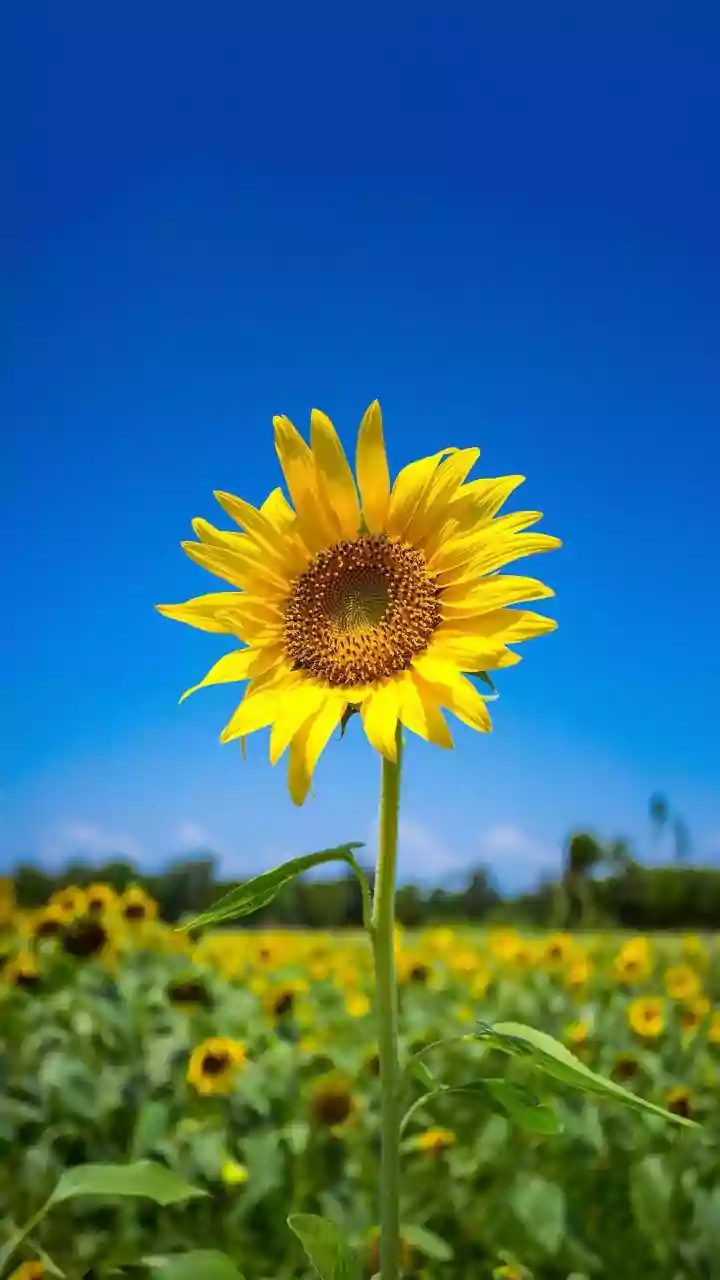 7 Lokasi syuting Drama Korea Love Next Door, Wajib Dikunjungi!