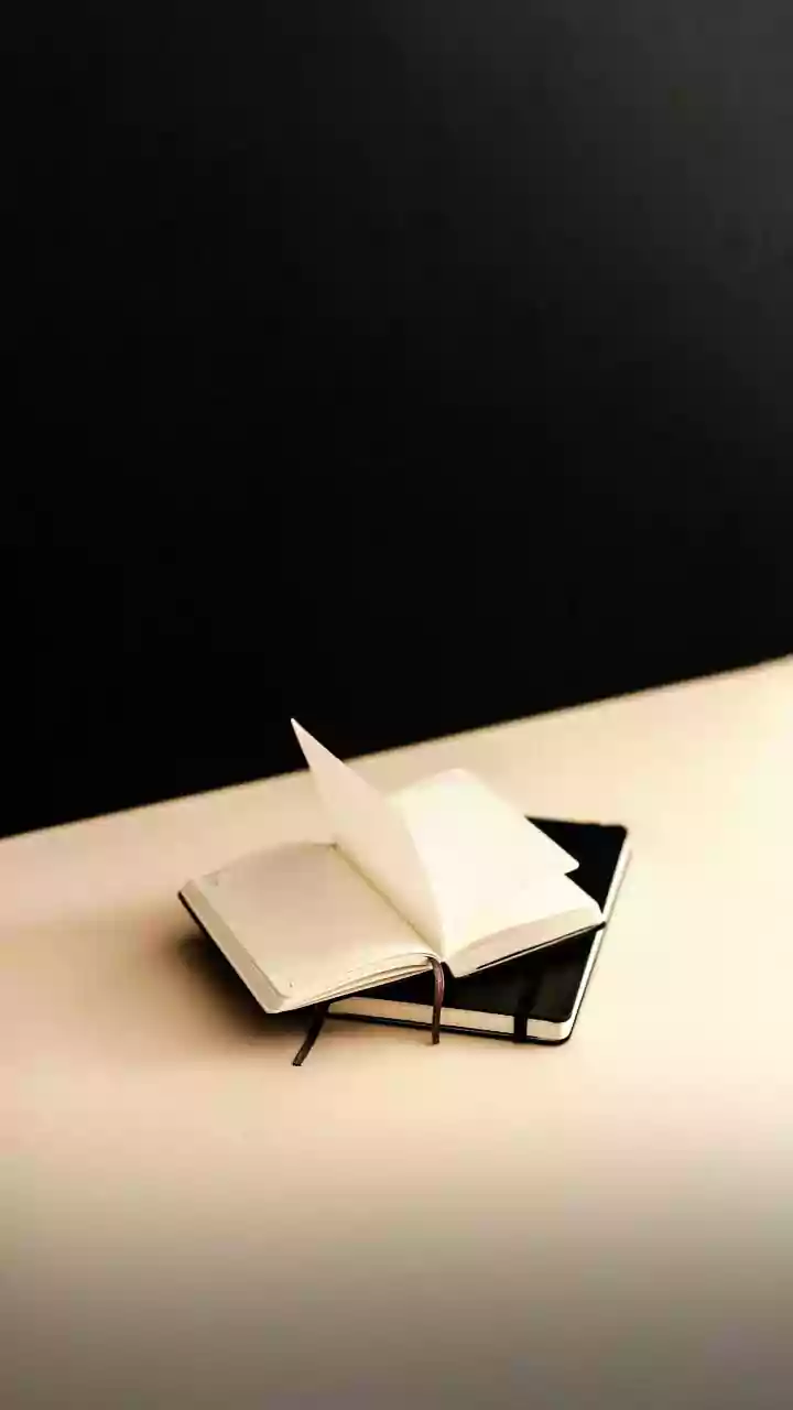 Journals Are The New Phone-Break Companion