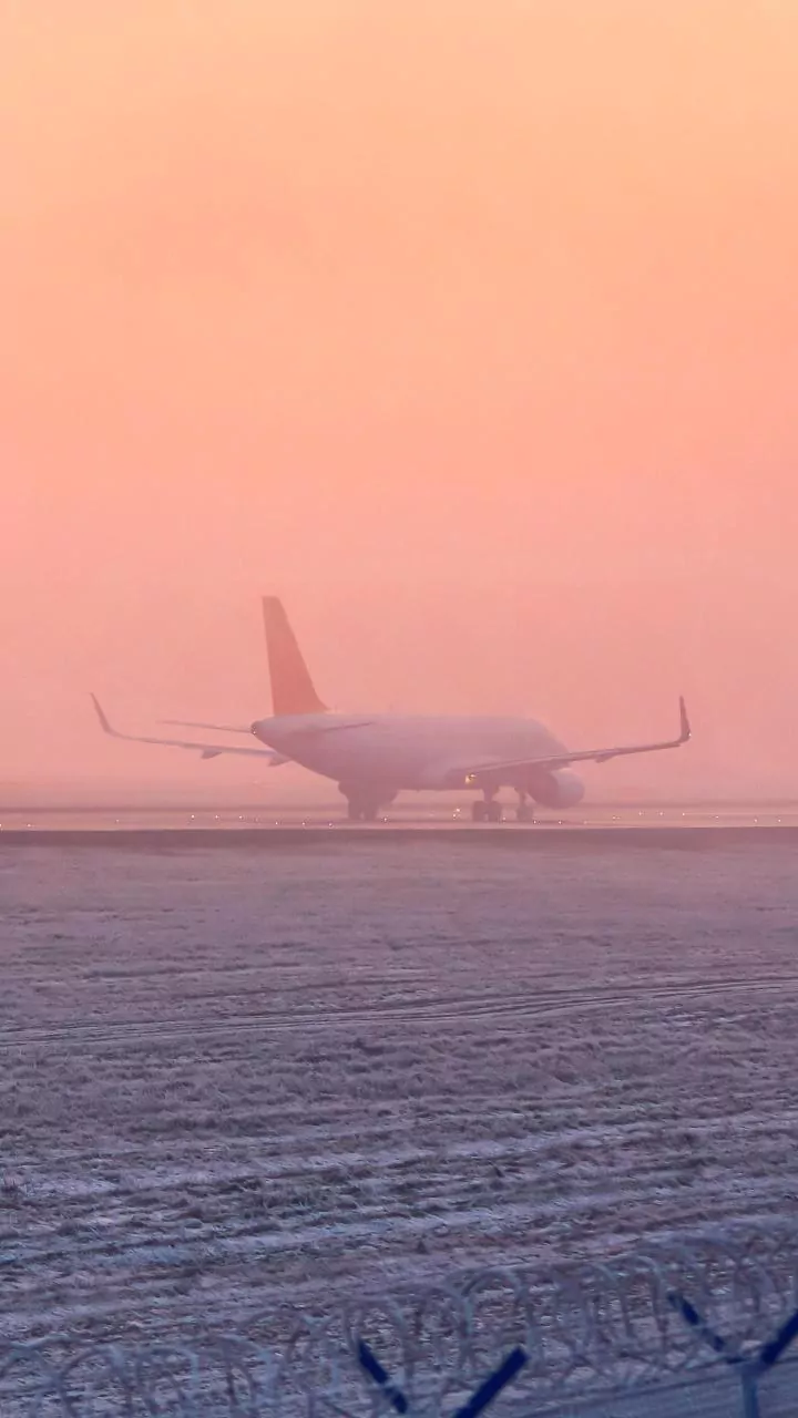 Dense Fog Disrupts Flight Operations At Delhi Airport, 79 Flights Cancelled And Over 230 Delayed On Friday