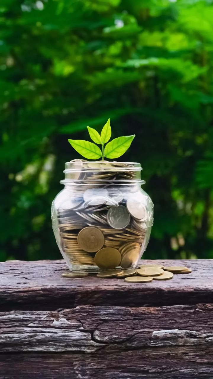 Senior Citizen Saving Scheme Explained: Interest Rate, Rules And New Deposit Limit