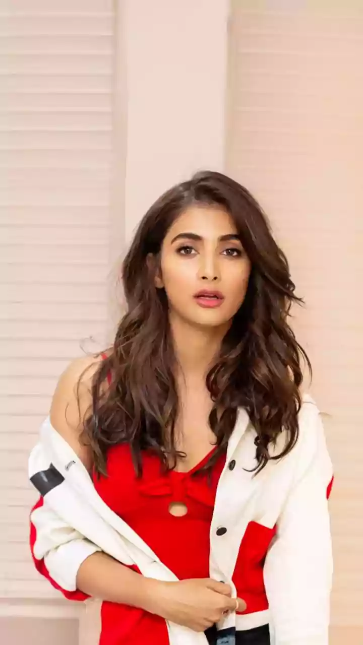 Pooja Hegde talks about working with Thalapathy Vijay as actor-politician quits acting: 'I am retiring from cinema because...'