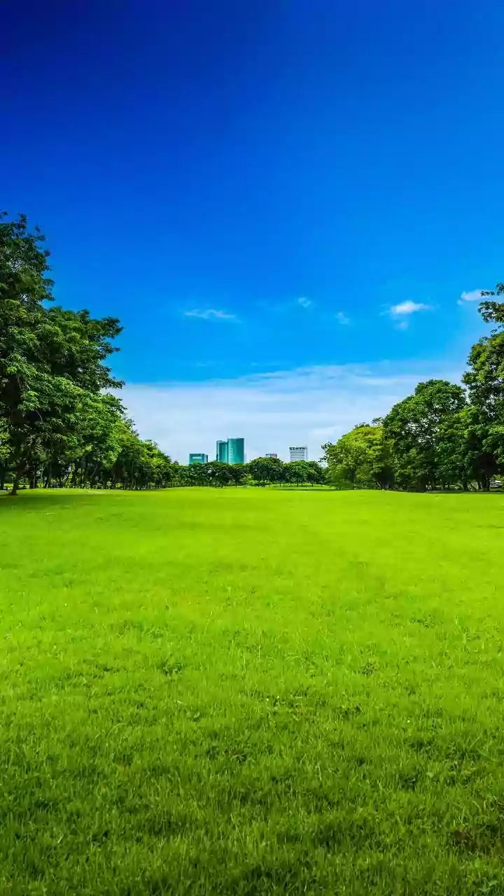 Delhi gets a fresh green space named after Atal Bihari Vajpayee