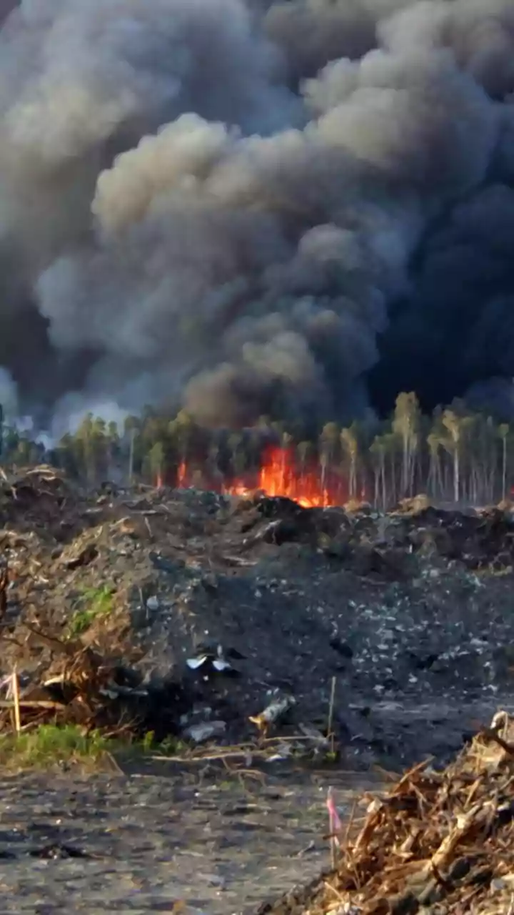 Punjab Records High Stubble Burning Incidents Despite Subsidies