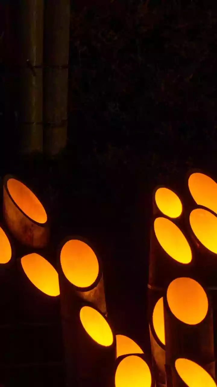 Why Eco Minded Youth Love Styling Balconies With Clay Diyas and Solar String Lights