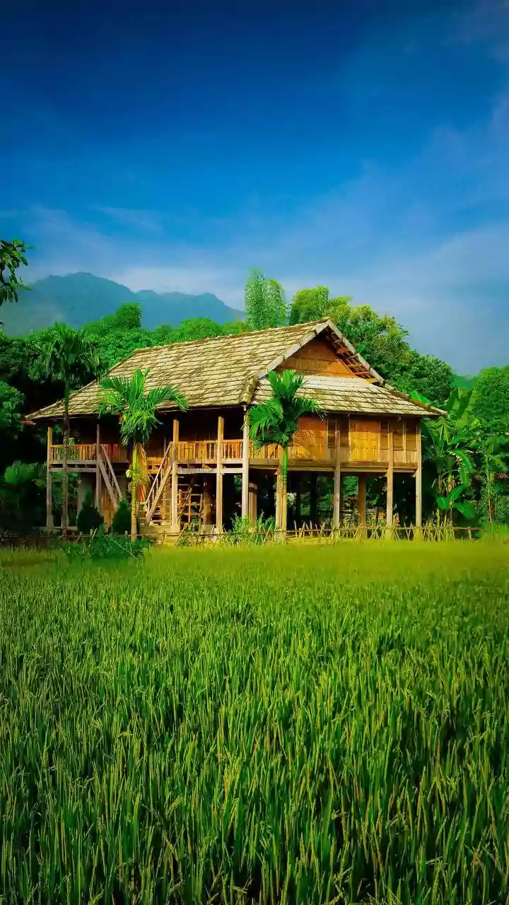 More Travellers Prefer Boutique Homestays For Quiet Nature Retreats