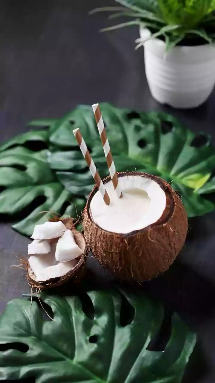 Coconut-Shell Gardening Needs a Plan for Replacing Worn Containers