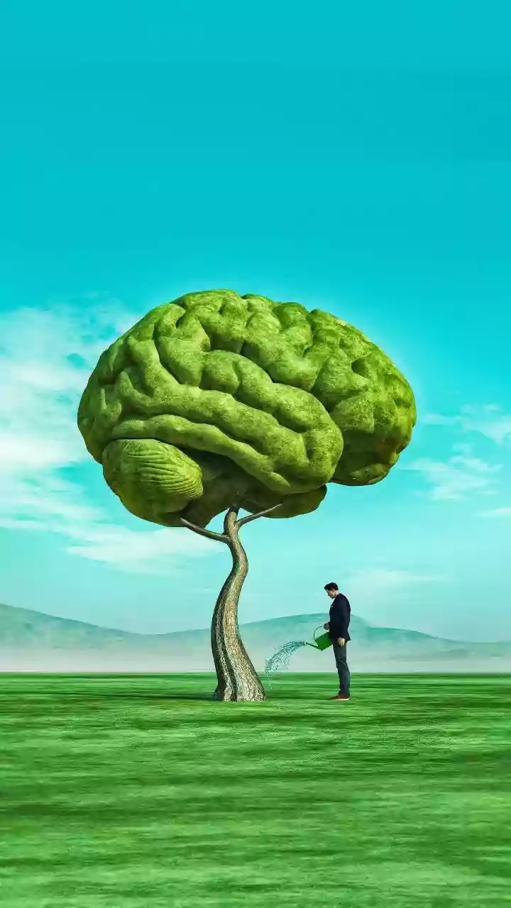 SC transfers PIL seeking implementation of law on mental health care to NHRC