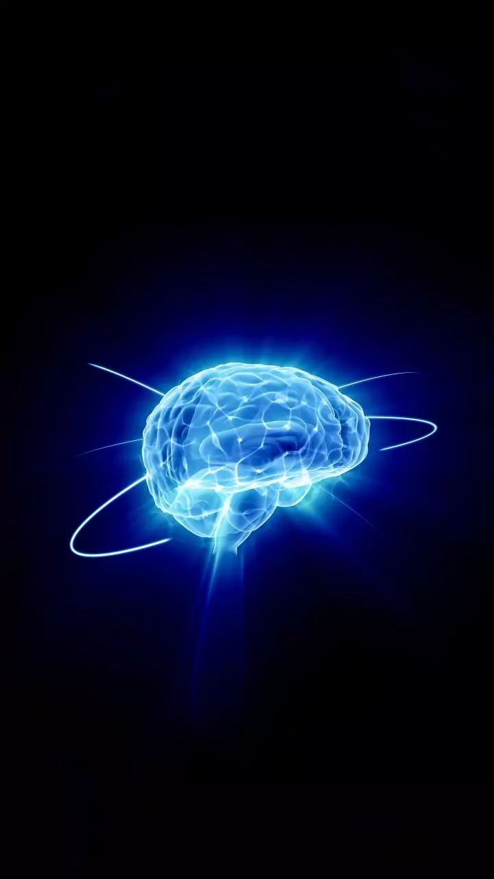 Study finds how brain waves helps distinguish between one's own body and external world