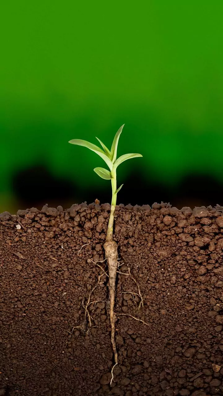 UAS-Bengaluru's 'KrishiVitta' meet gives agri startups a boost