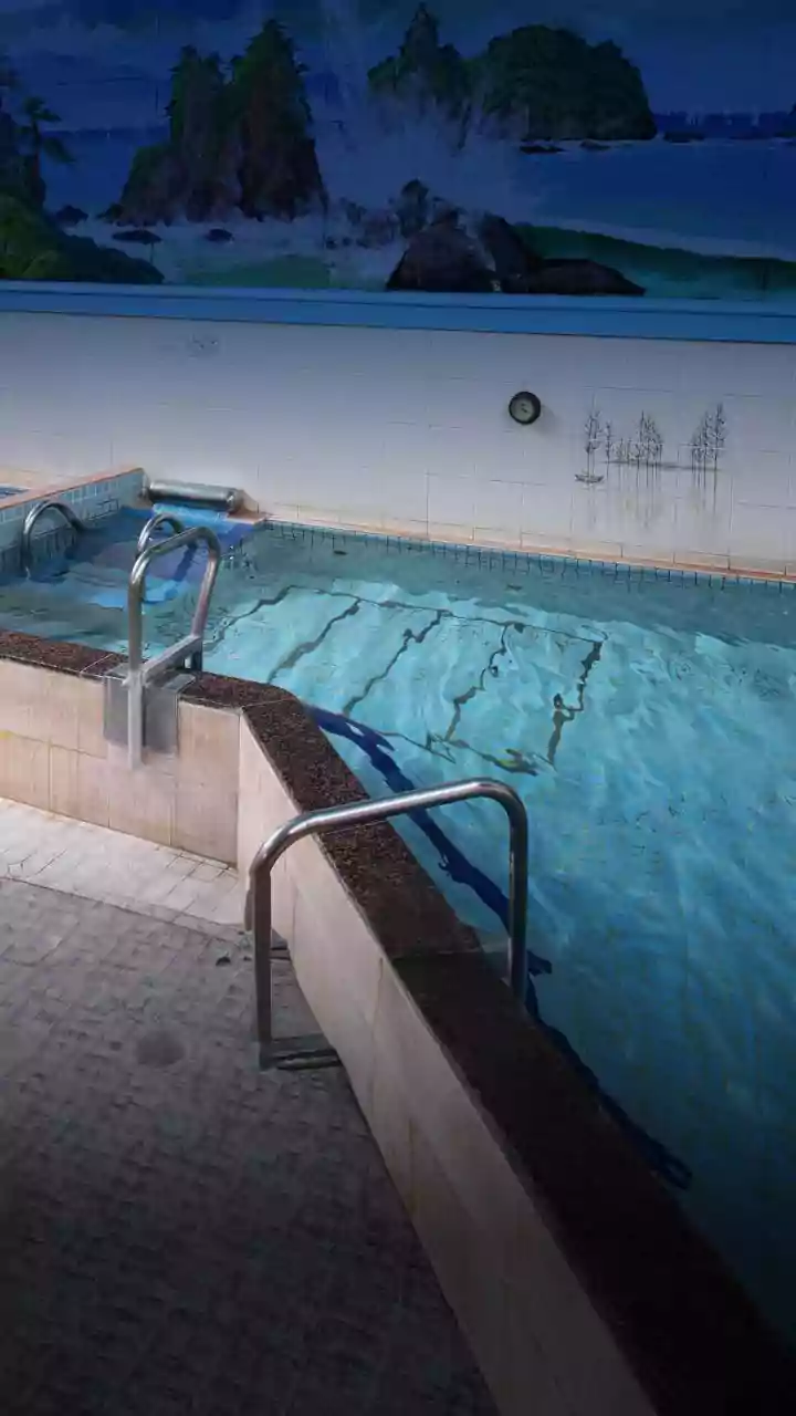 Pet Boardings With Indoor Splash Pools Report Fully Booked