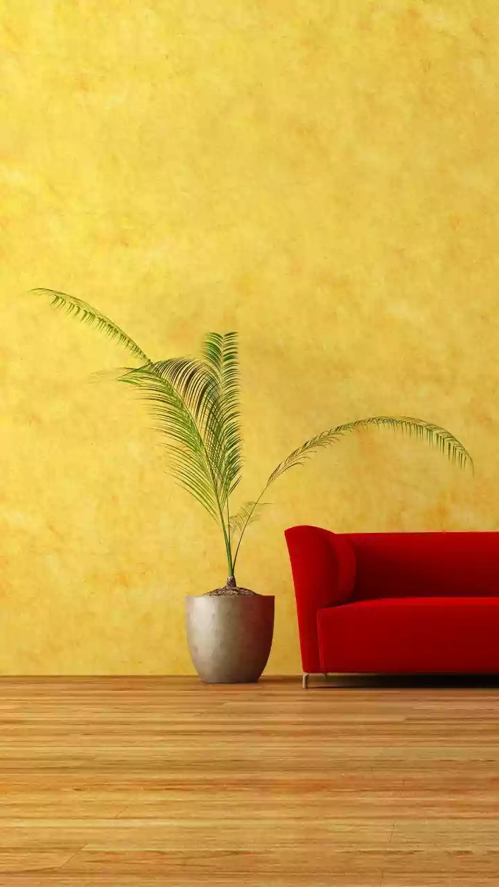 Monsoon Home Hygiene: Preventing Damp Walls And Mould Growth