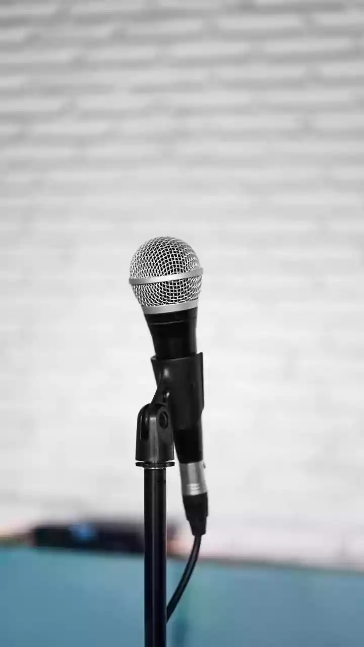 Freelancers Leverage Local AI Plugins For Secure Offline Audio Meeting Transcripts