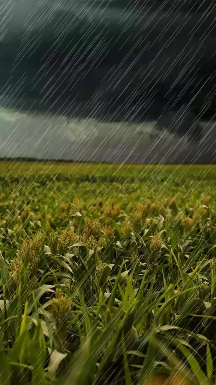 Monsoon Driving: Check the Entire Route, Not Just Your Destination