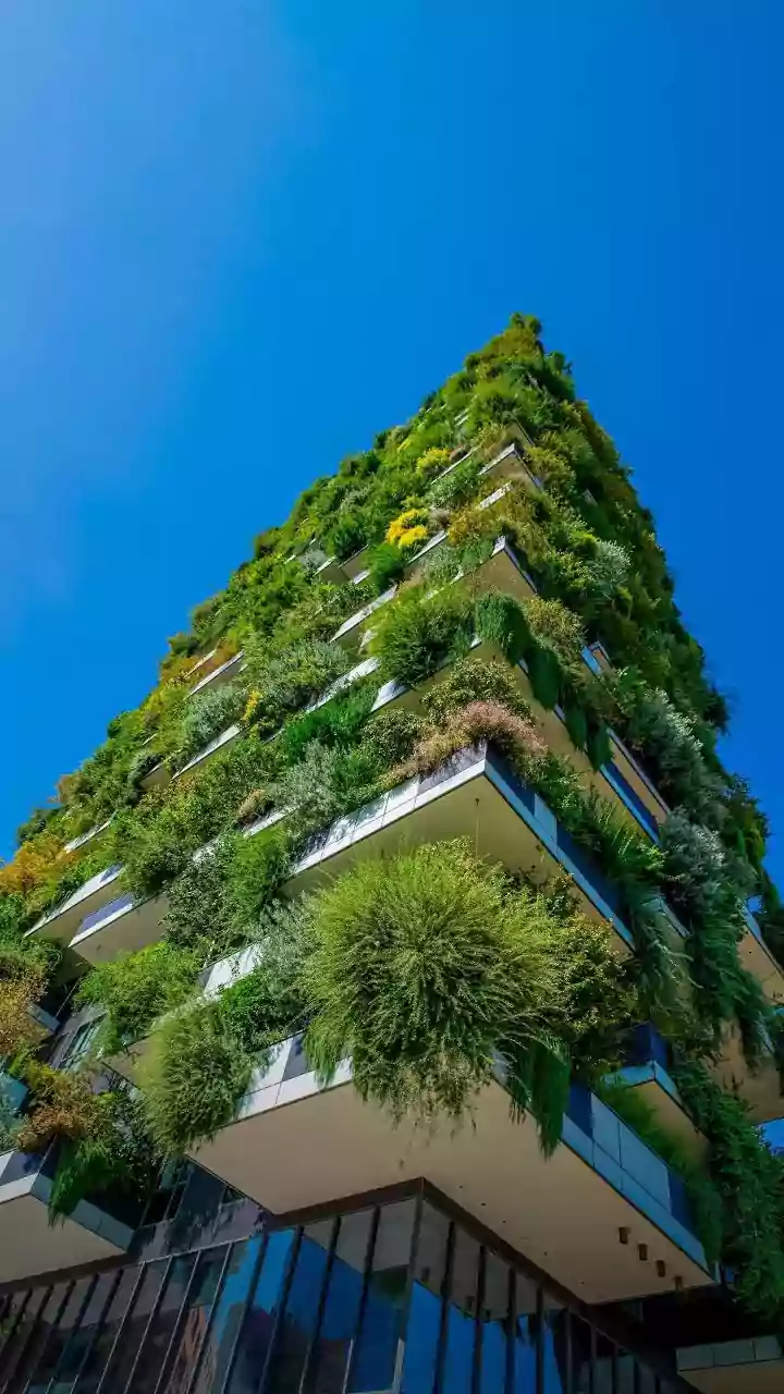 Climate Crisis & Construction: Future Designs