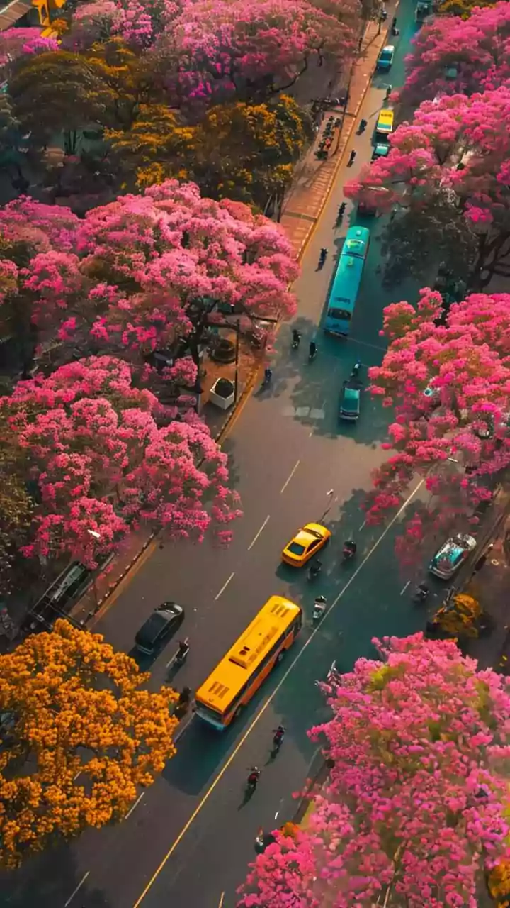 Bangladesh Unrest: A Deep Dive into Recent Events