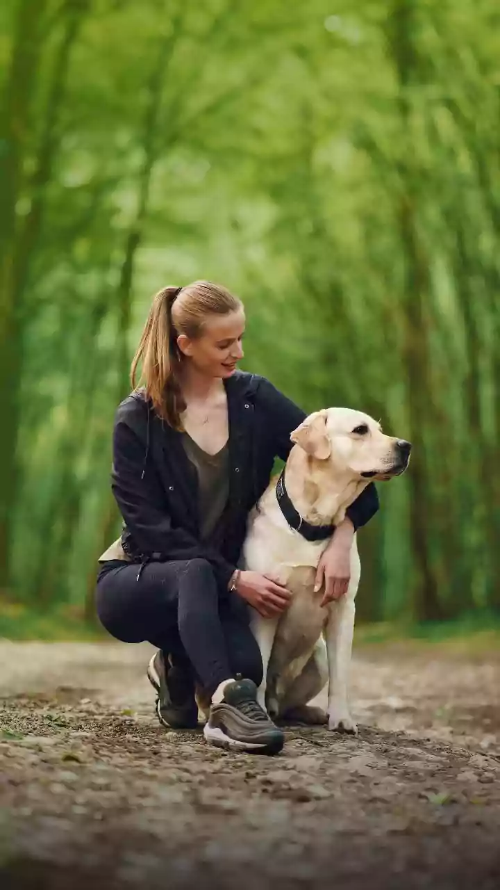 Planning Ahead: Securing Your Pet's Future