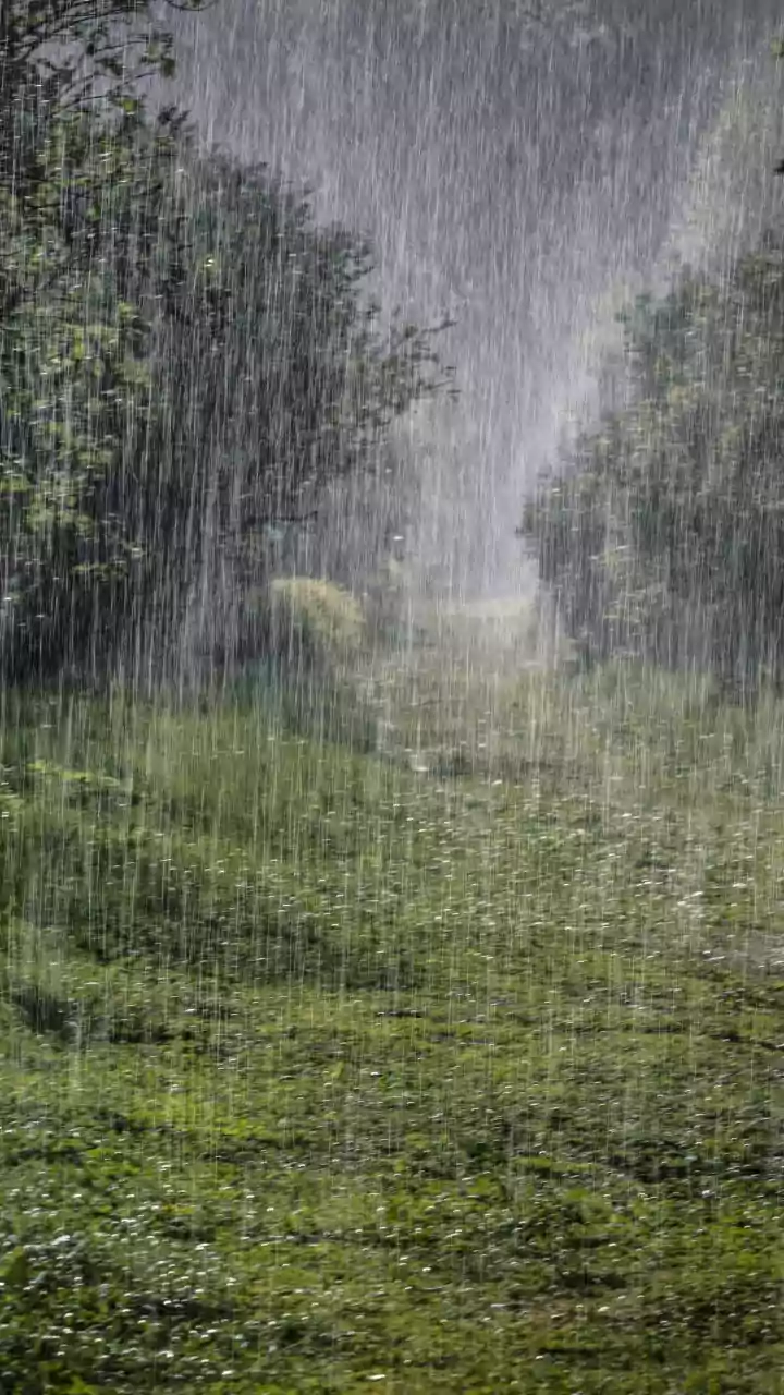 India's weather department forecasts lower September rainfall amid El Nino