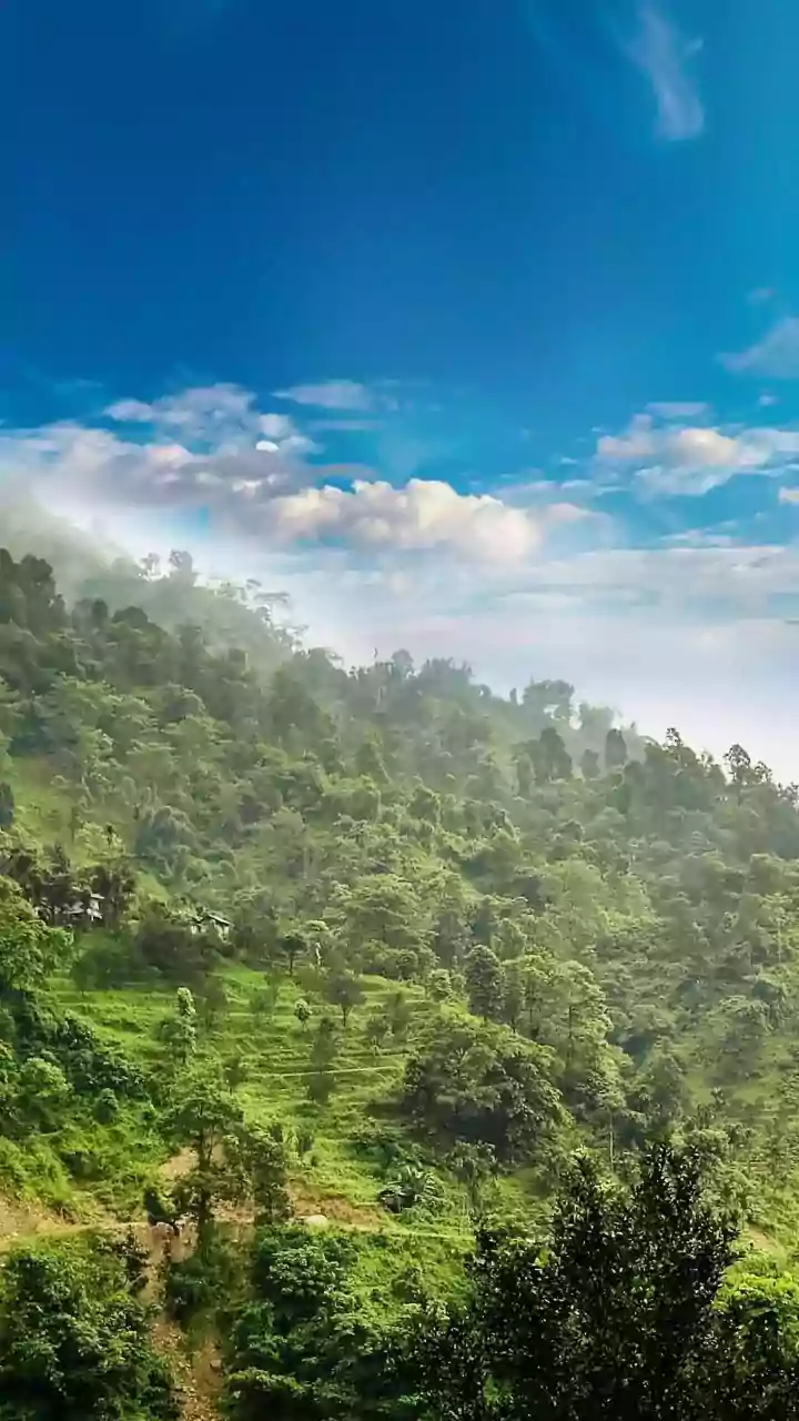 Beat the Delhi Heat: 5 Hill Station Escapes for a Chilly Respite