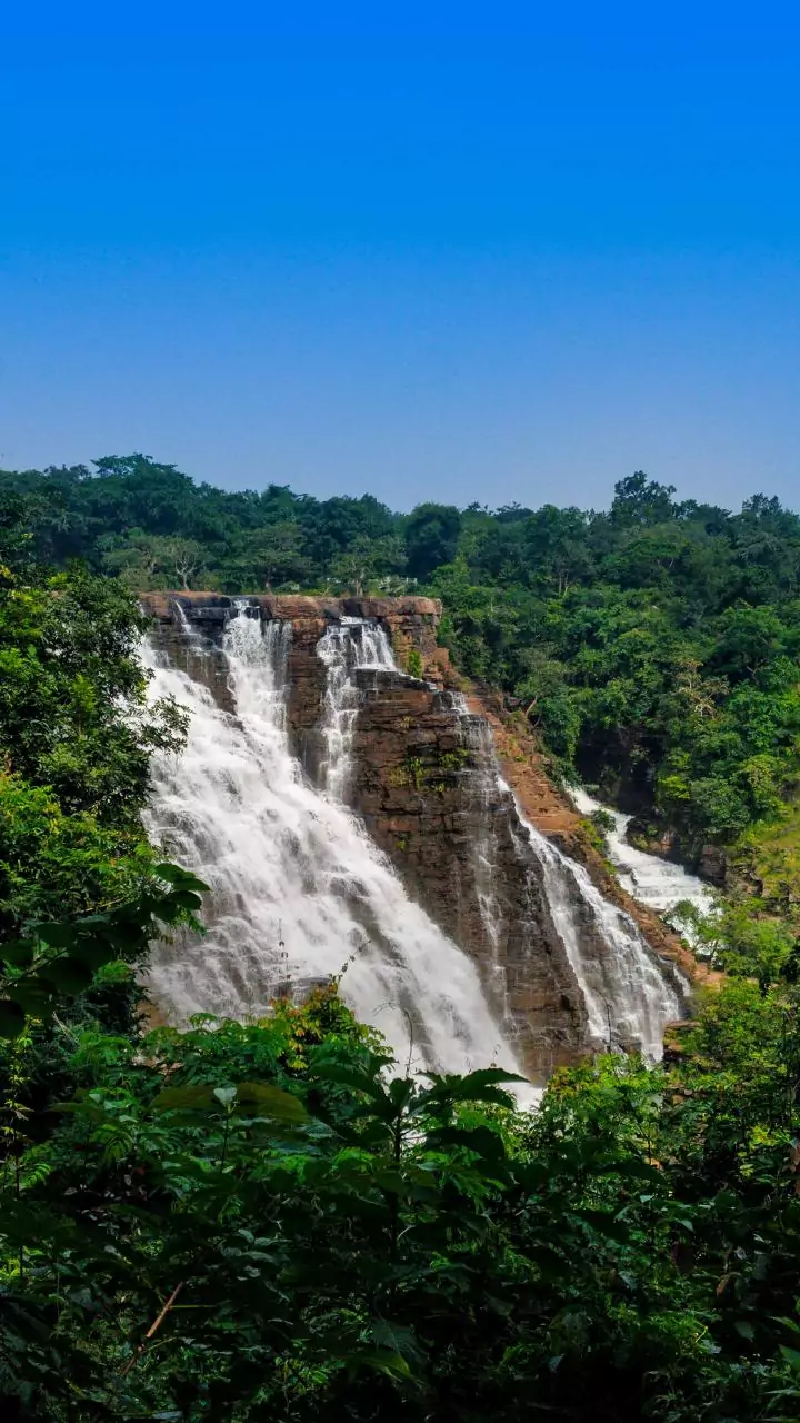 Chhattisgarh saw Maoist collapse and crackdown on 'scams'