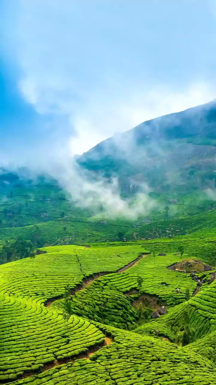 Eight Destinations Make a Strong Case for Slower Travel in the Rains