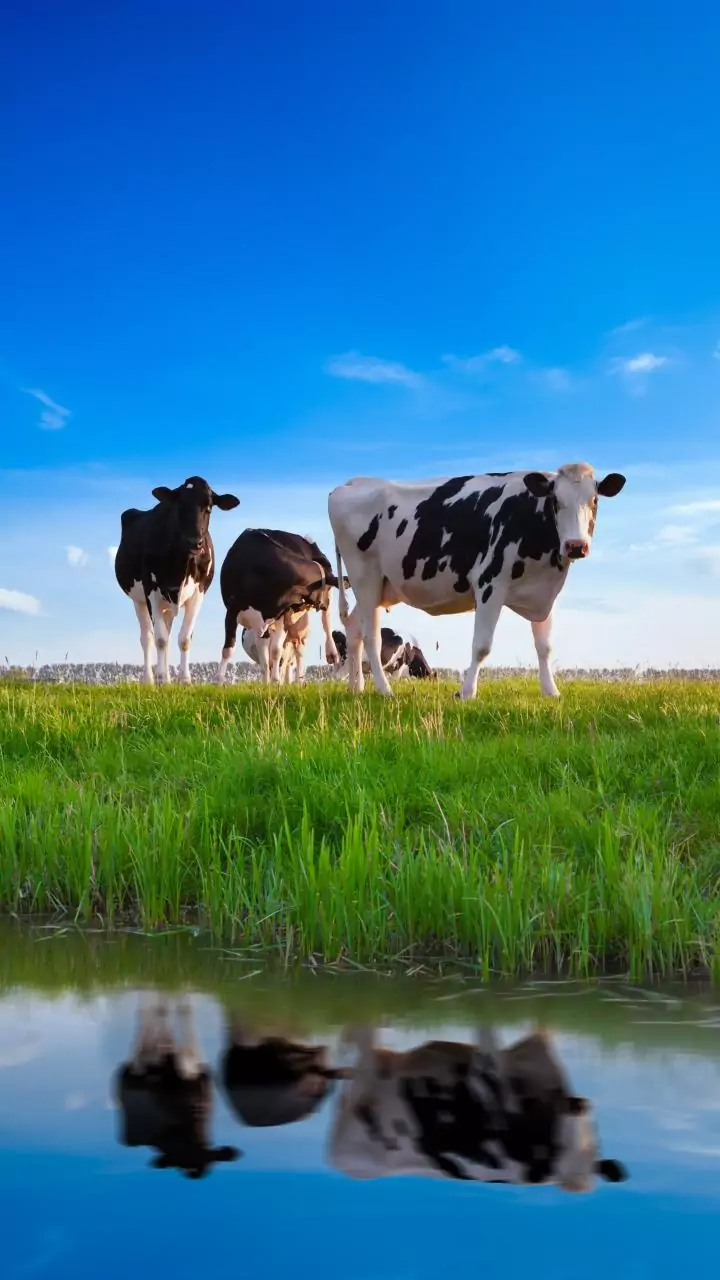 Related Stories banner