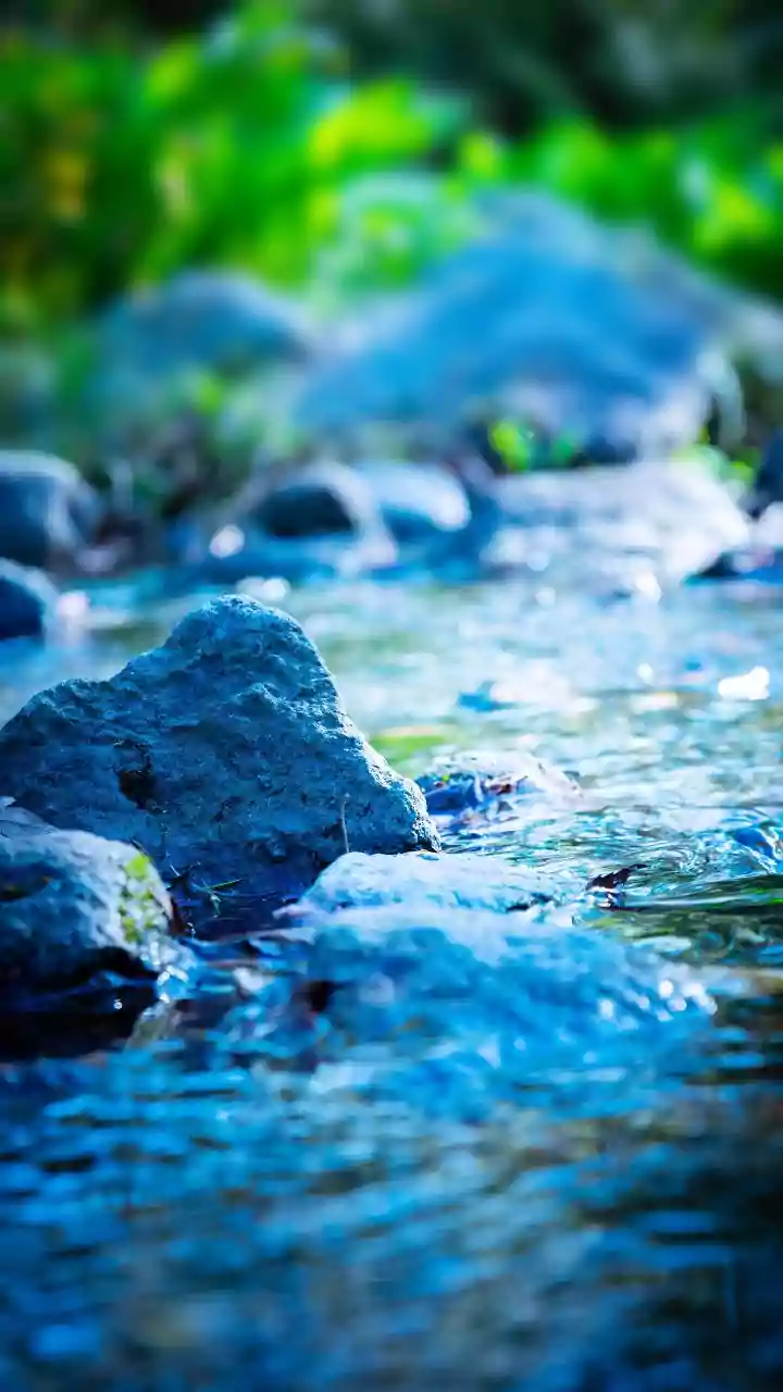 Man injured after jumping into creek in Thane