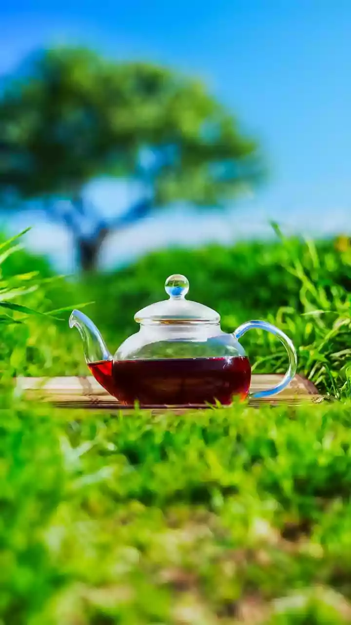 Five Choices That Make Outdoor Tea Parties Feel Polished Including Wet-Weather Backup