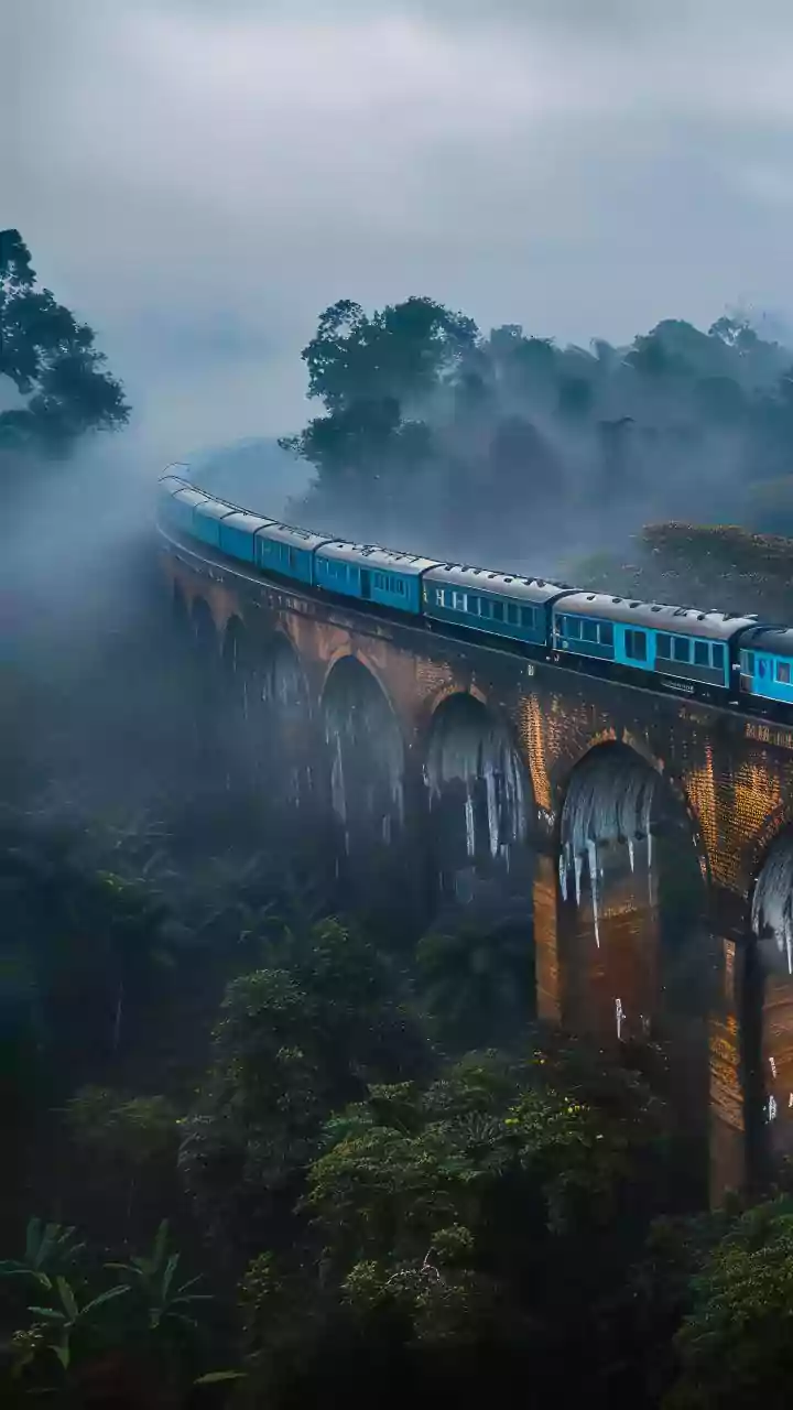 King cobras spotted near railway tracks: Study