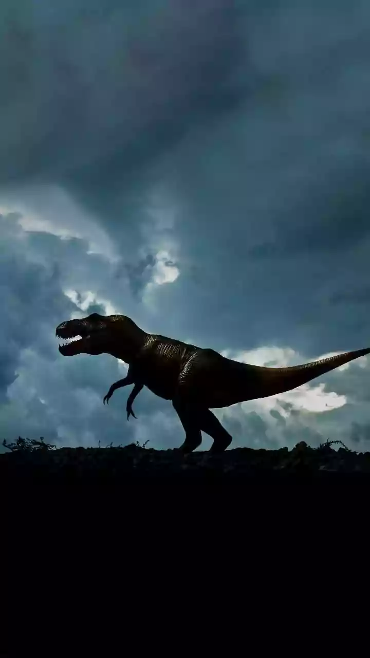 "Couro de T-Rex": mais frango do que dinossauro?