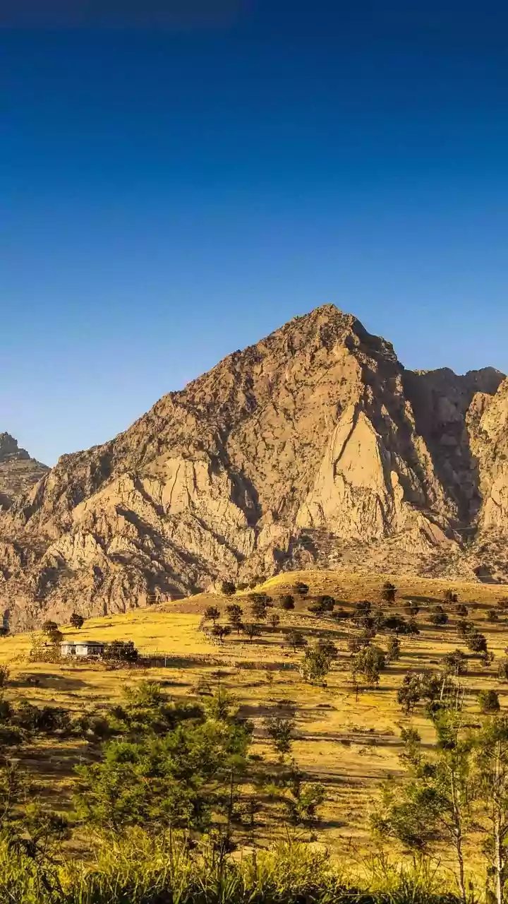 Pakistan's Balochistan Internet Shutdown: Impact & Implications