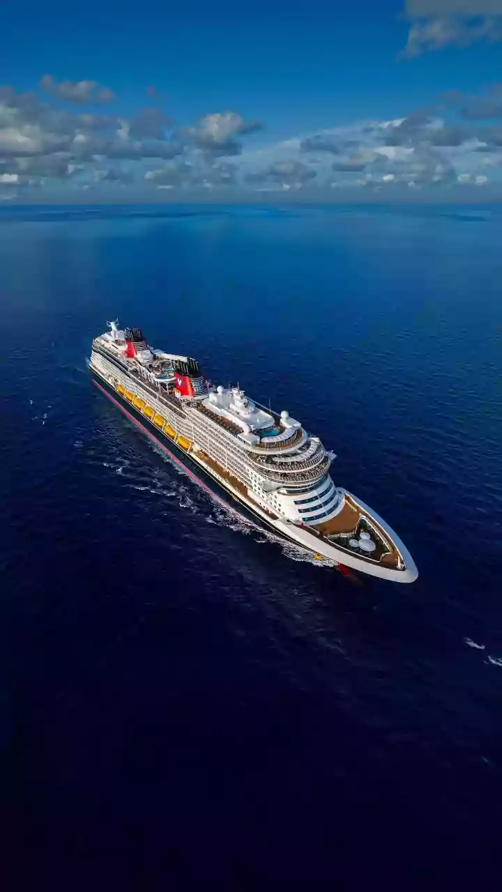 'Ship Smells Like Poop': Carnival Cruise Passenger's Video Showing White Towel Turn Brown In Seconds Under Tap Water Goes Viral - Watch