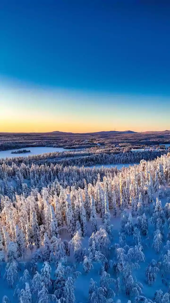 Your guide to exploring Finnish Lapland