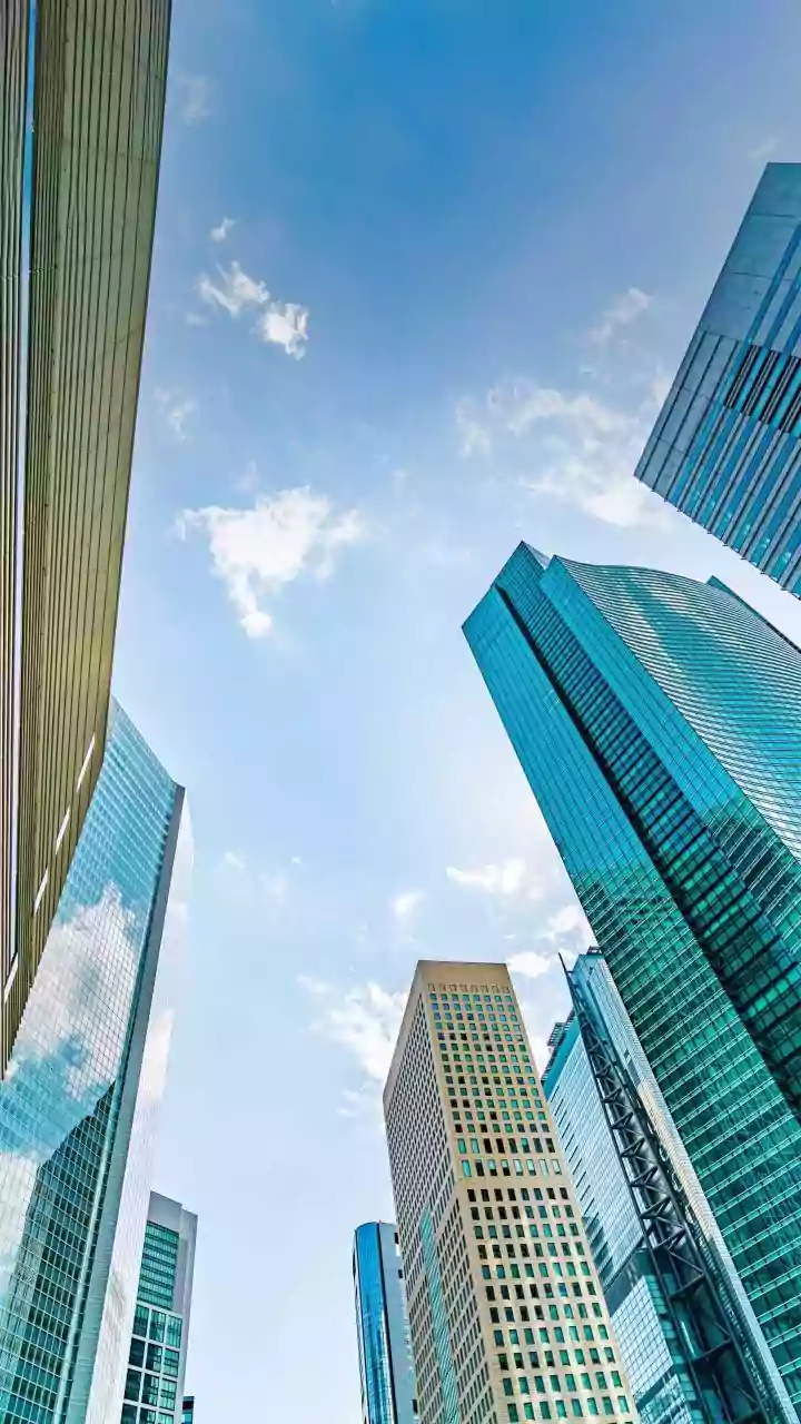 Navigating Business: Insights & Perspectives