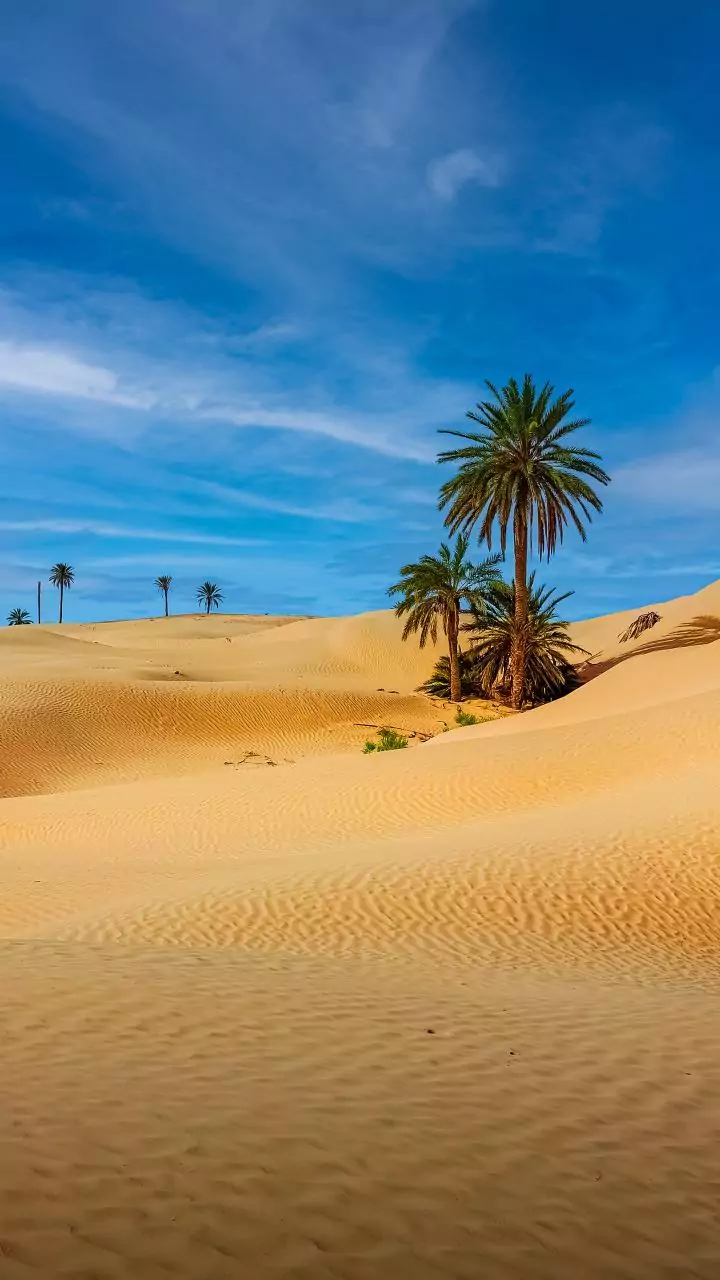 Budget desert walks offering stunning winter light