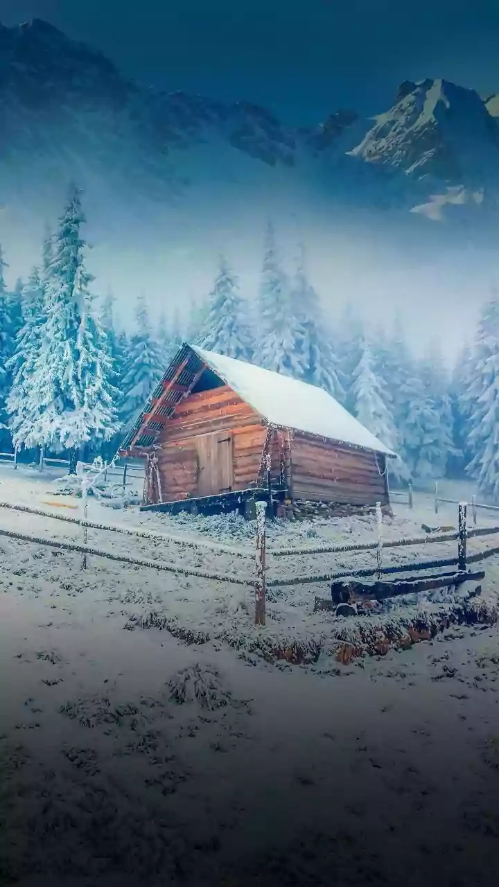 Intense Cold Wave To Grip North India From Today As Mercury Drops | Check Forecast