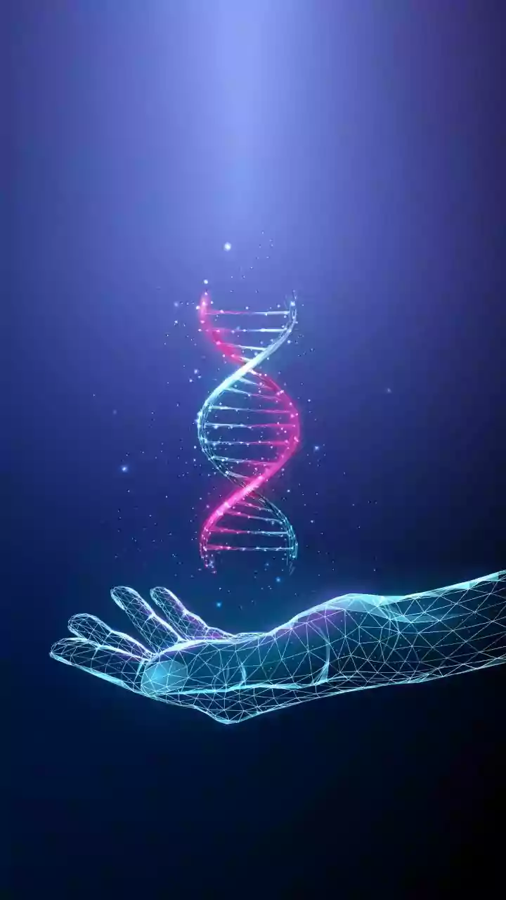 Scientists find 2 genes that could enable human limb regrowth