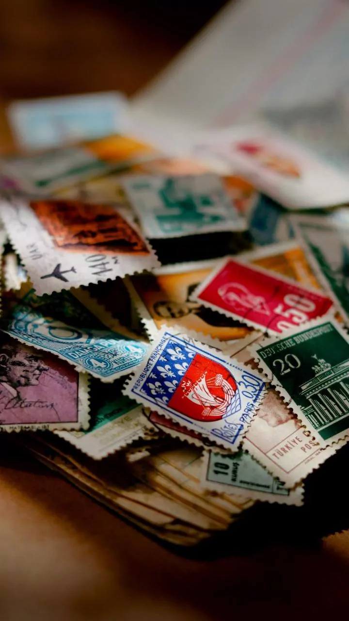 A Memory Collection Needs Rules before It Fills Every Shelf