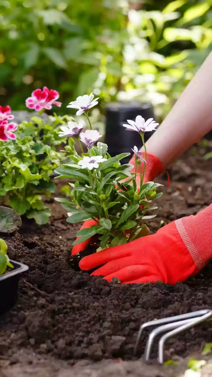 Microbial Soil Probes Allow City Plant Parents To Monitor Balcony Moisture Effortlessly