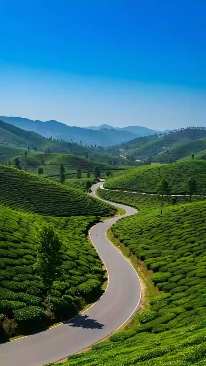 Allergic to Assam’s Growth: PM Modi Targets Congress, Projects Assam as India’s Rising Growth Engine