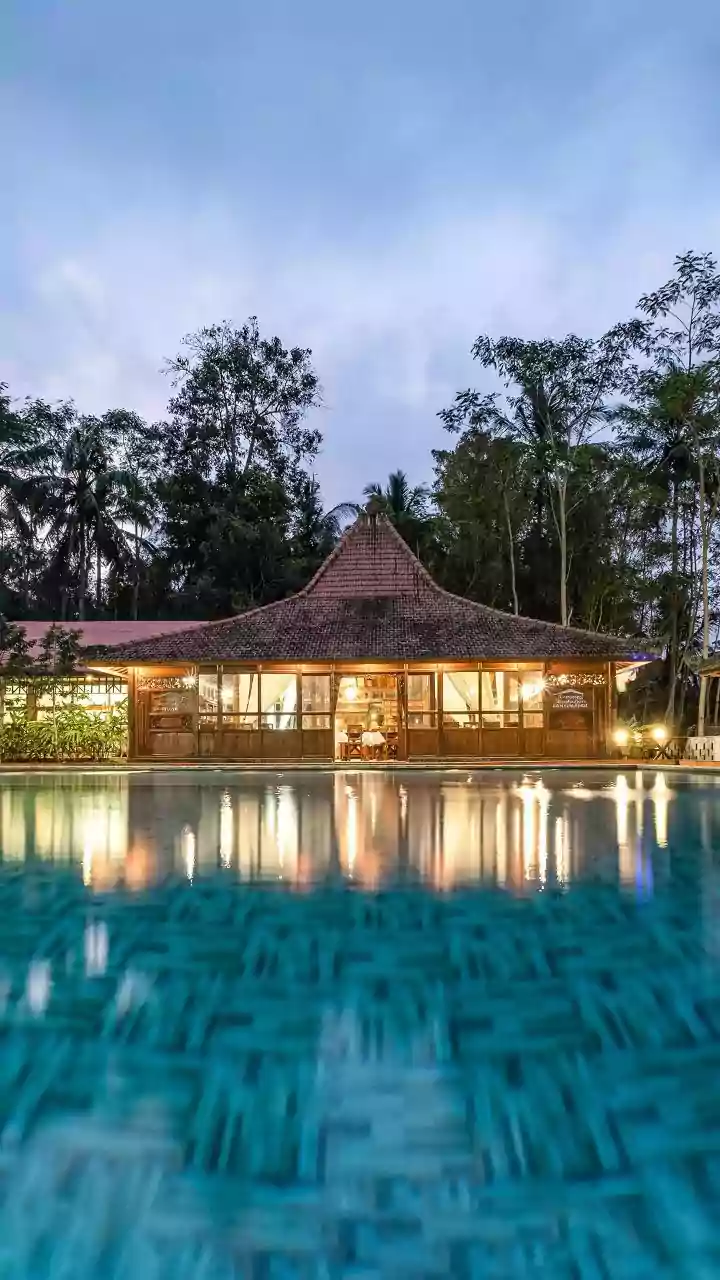 How Wayanad Resorts Offer Green Sustainable Escapes In Bamboo Treehouse Cabins